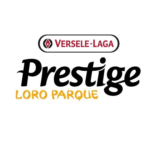 Image de la marque