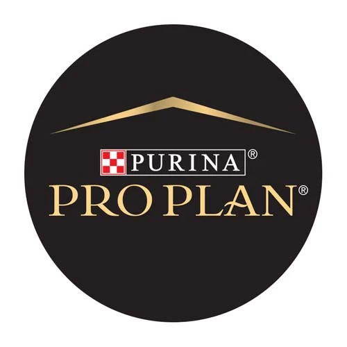 Pro plan