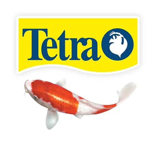 Tetra pond