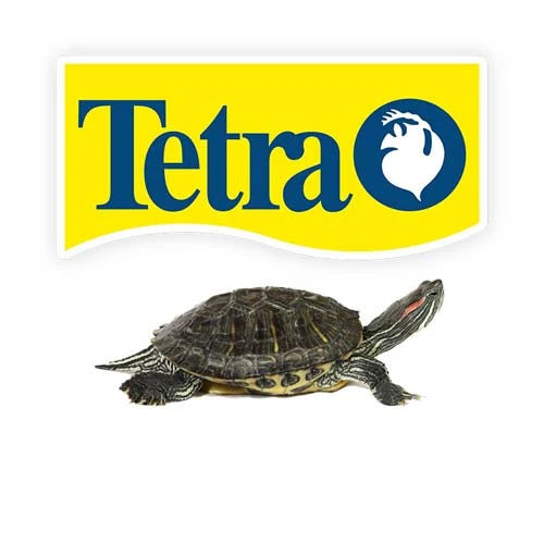 Tetrareptile