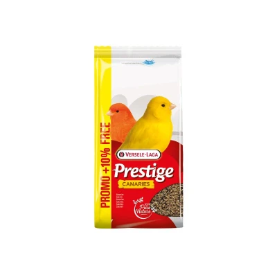 Image principal du produit
