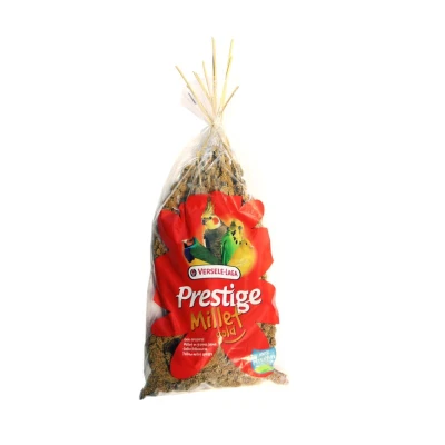Image principal du produit