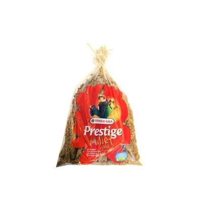 Image principal du produit