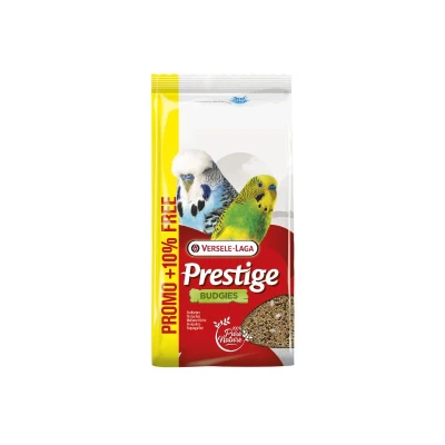 Image principal du produit