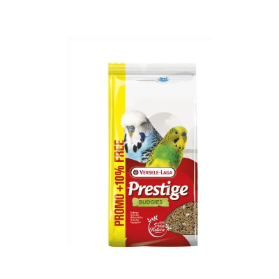 Image principal du produit
