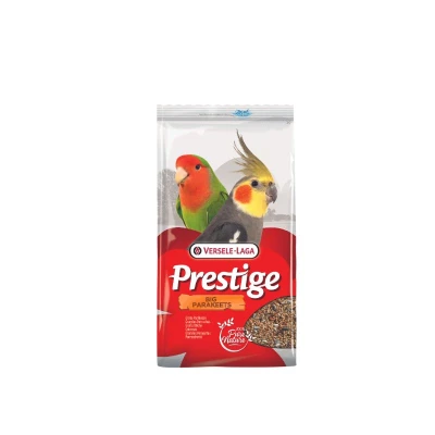 Image principal du produit
