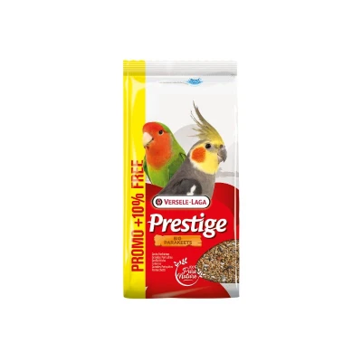 Image principal du produit
