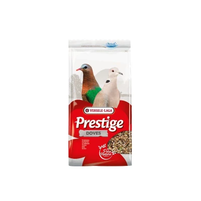 Image principal du produit