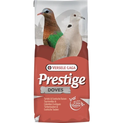 Image principal du produit